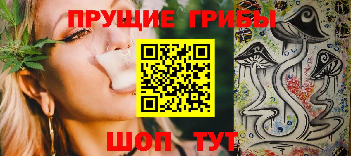 Чебоксары  Галлюциногенные грибы прущие грибы  Вход с VPN 